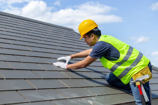 Best Storm Damage Roof Repair  in Westover, WV