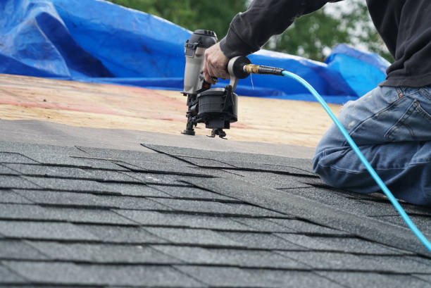 Best Roof Repair Services  in Westover, WV